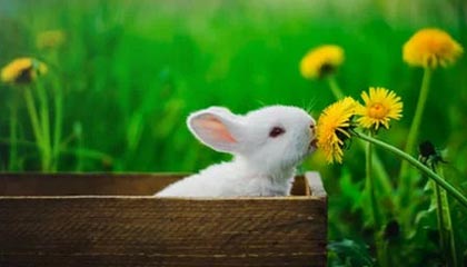 开yun官网-中超新秀争夺最佳新人奖，中超新秀合同